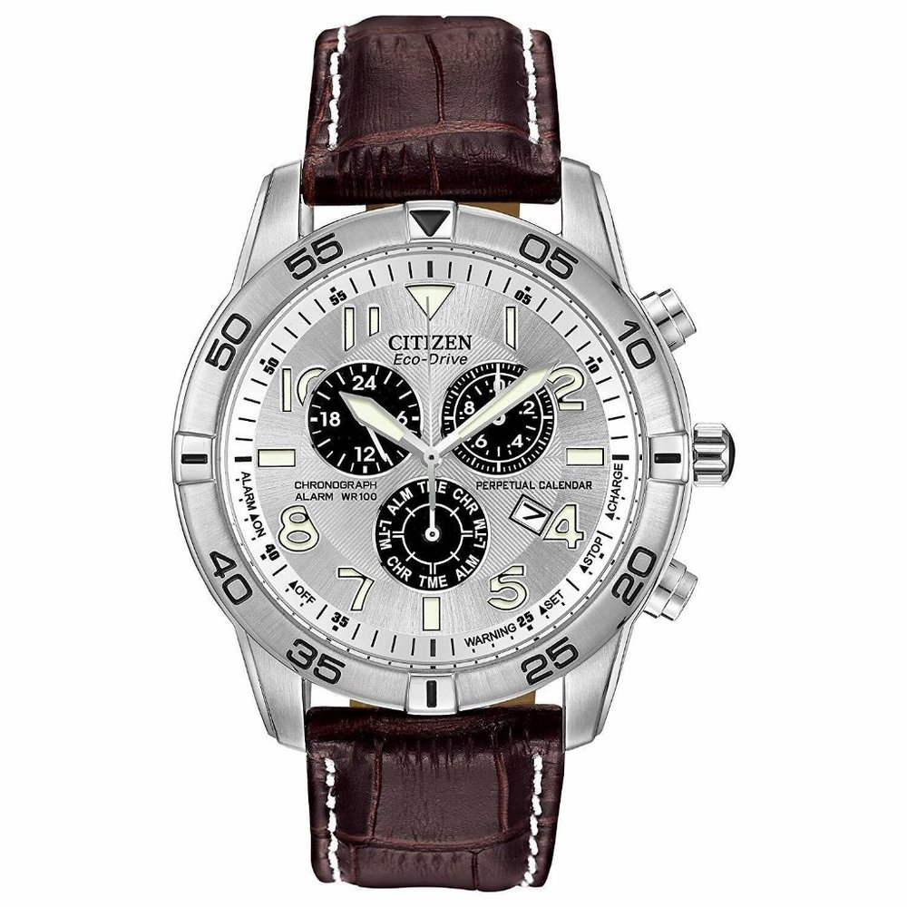 Citizen 44mm Perpetual Eco Drive Watch